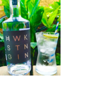 Hawkstone. Gin 40% abv
