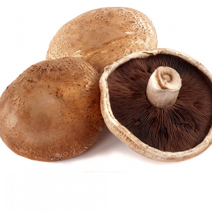 Mushroom extra